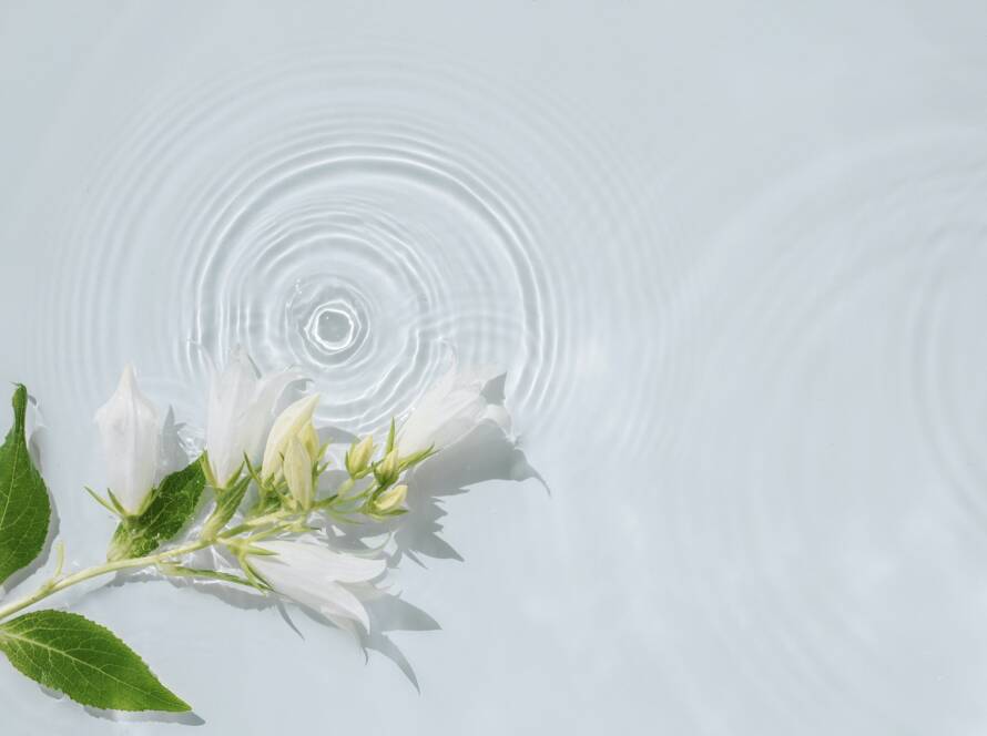 Transparent water background with rings, ripples and white delicate flowers